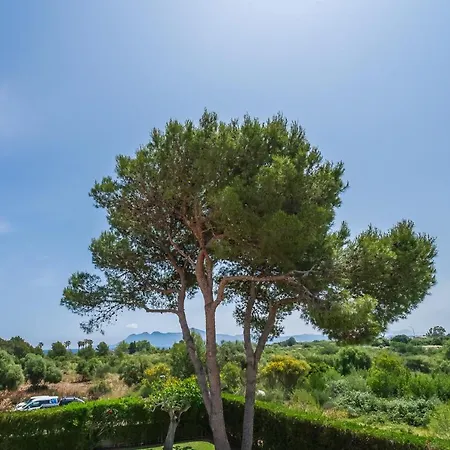 Ideal Mallorca - Anna Nyaraló