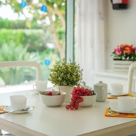 Ideal Mallorca - Anna