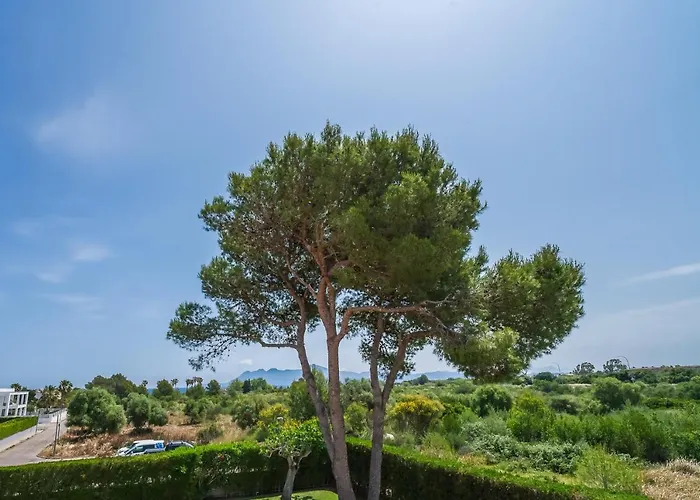 Ideal Mallorca - Anna 度假居