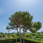 Ideal Mallorca - Anna Holiday home