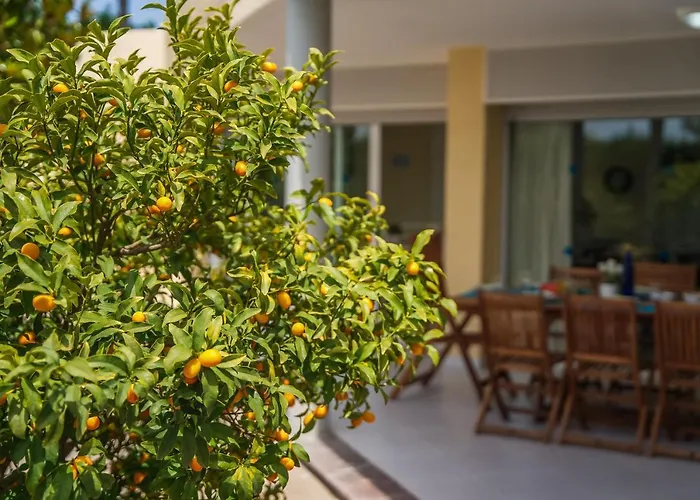 Ideal Mallorca - Anna